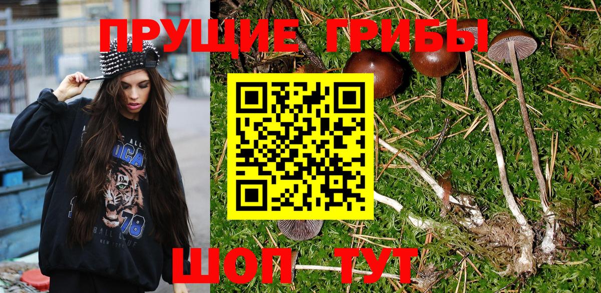 Галлюциногенные грибы MAGIC MUSHROOMS  Вход с VPN  Ишим  Галлюциногенные грибы GOLDEN TEACHER 